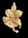 Jewelry - Elegant 18K Yellow Matt Orchid Brooch With Pearl. 1.7”