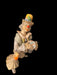 Vintage Ceramic Figurine Clown Is Playing Drum, Signed H. Guzman 9” x 6”-EZ Jewelry and Decor