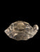 Vintage Glass Turtle Figurine The Toscany Collection, 6” x 2.75”-EZ Jewelry and Decor