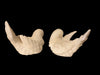 Vintage A. Santini Alabaster Doves. - Made in Italy-A Pair of Dove Figurines3.5” x 5.5”-EZ Jewelry and Decor